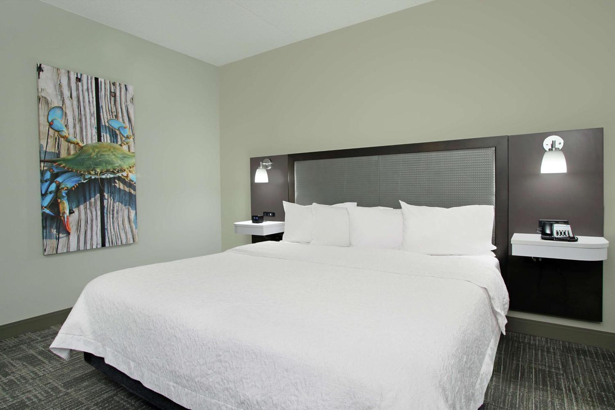 Hampton Inn Hagerstown-Maugansville Esterno foto
